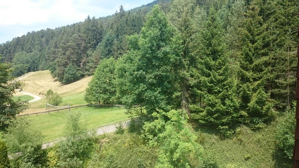 Waldblick Tonbach Leilighet Baiersbronn Rom bilde