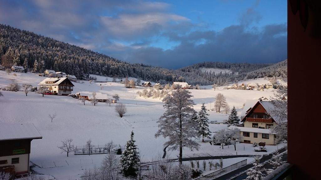 Waldblick Tonbach Leilighet Baiersbronn Rom bilde