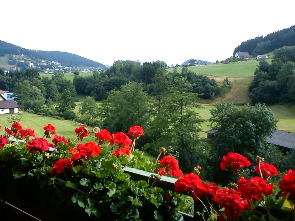 Waldblick Tonbach Leilighet Baiersbronn Rom bilde